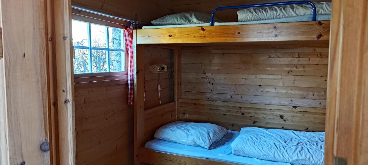 Frederiksvaerk Camping & Hostel Ngoại thất bức ảnh